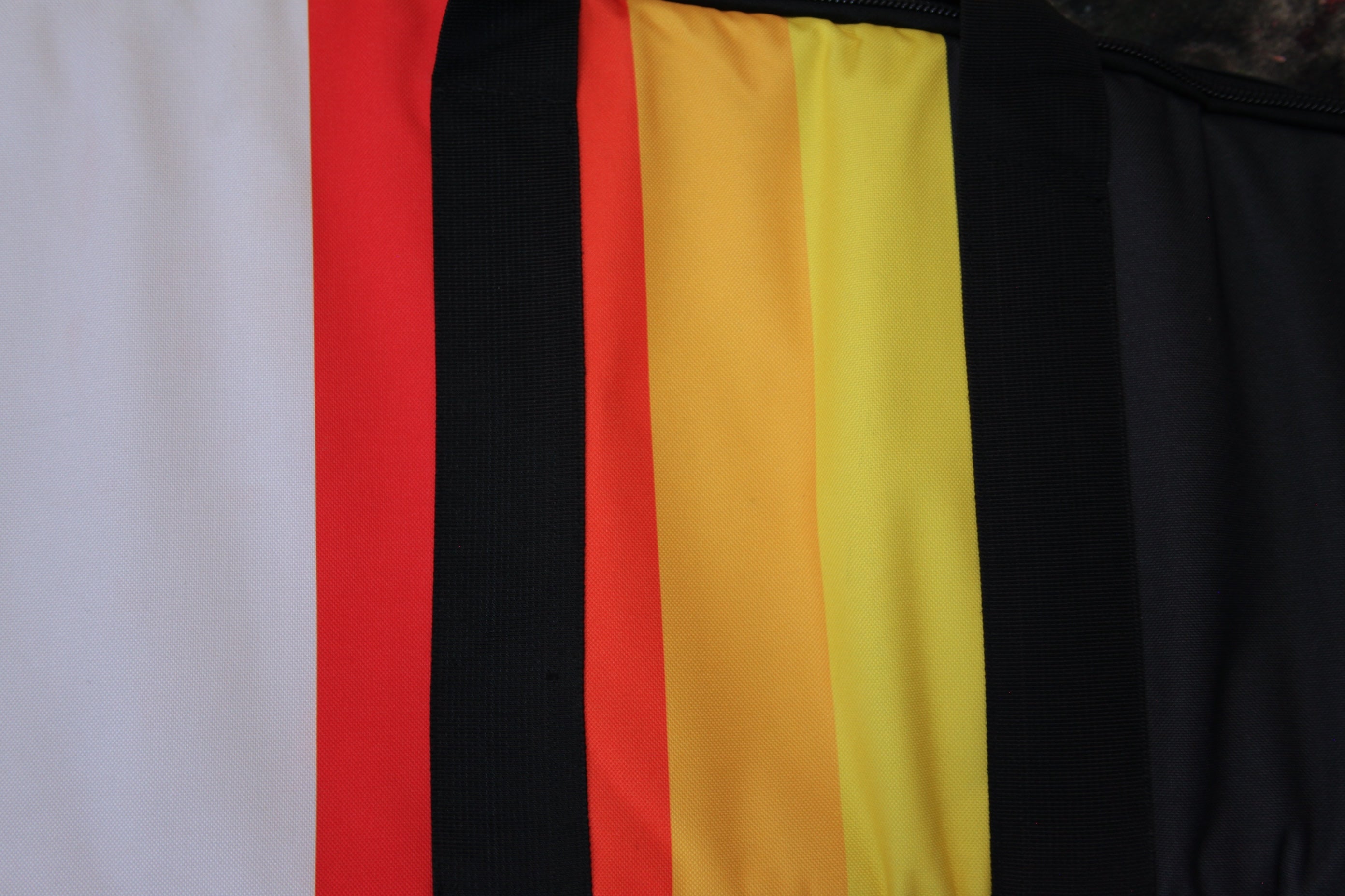 "Scout" Soft Case Gig Bag